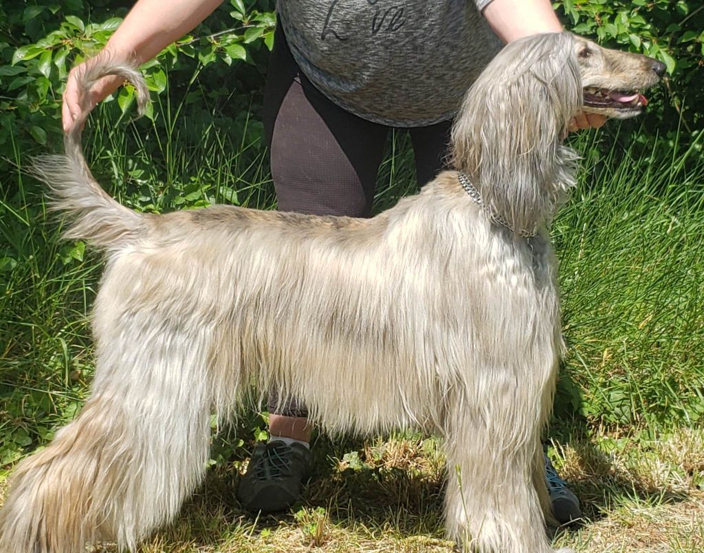 Never give up De Tanazacq